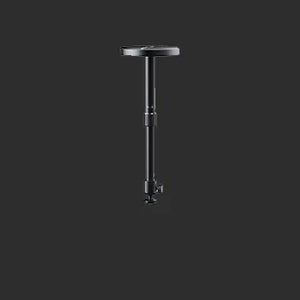 Ceiling Mounts
